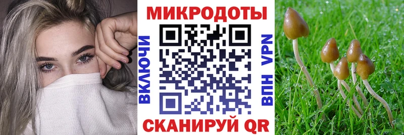Псилоцибиновые грибы MAGIC MUSHROOMS Кондопога