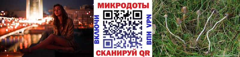 Псилоцибиновые грибы MAGIC MUSHROOMS  omg ТОР  Кондопога 