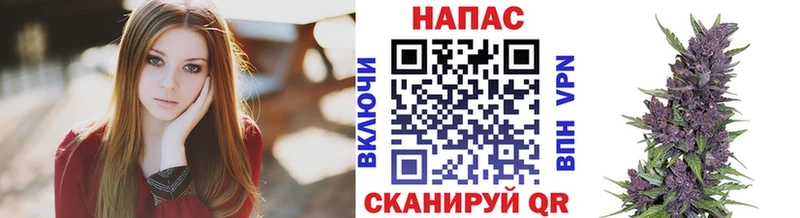 купить наркоту  Кондопога  Конопля марихуана 